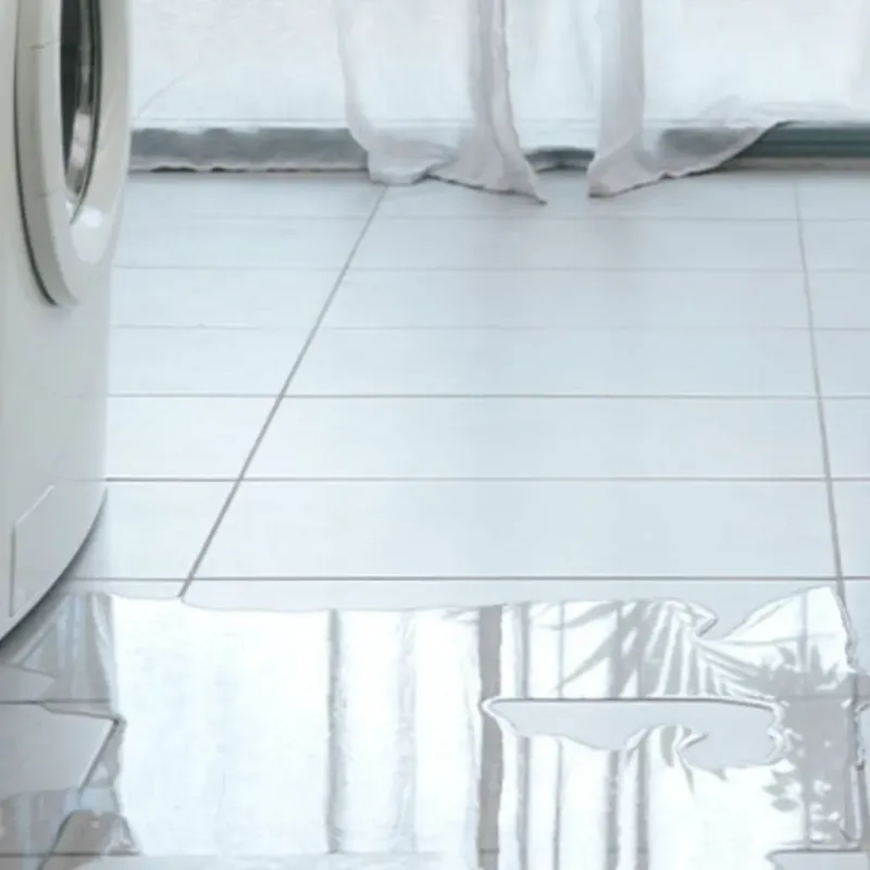 Appliance Leak Cleanup in Bridgeport, TX
