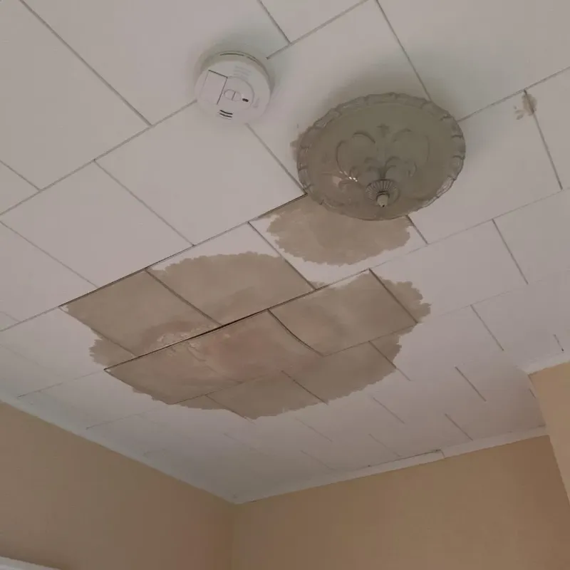 Ceiling Water Damage Repair in Bridgeport, TX