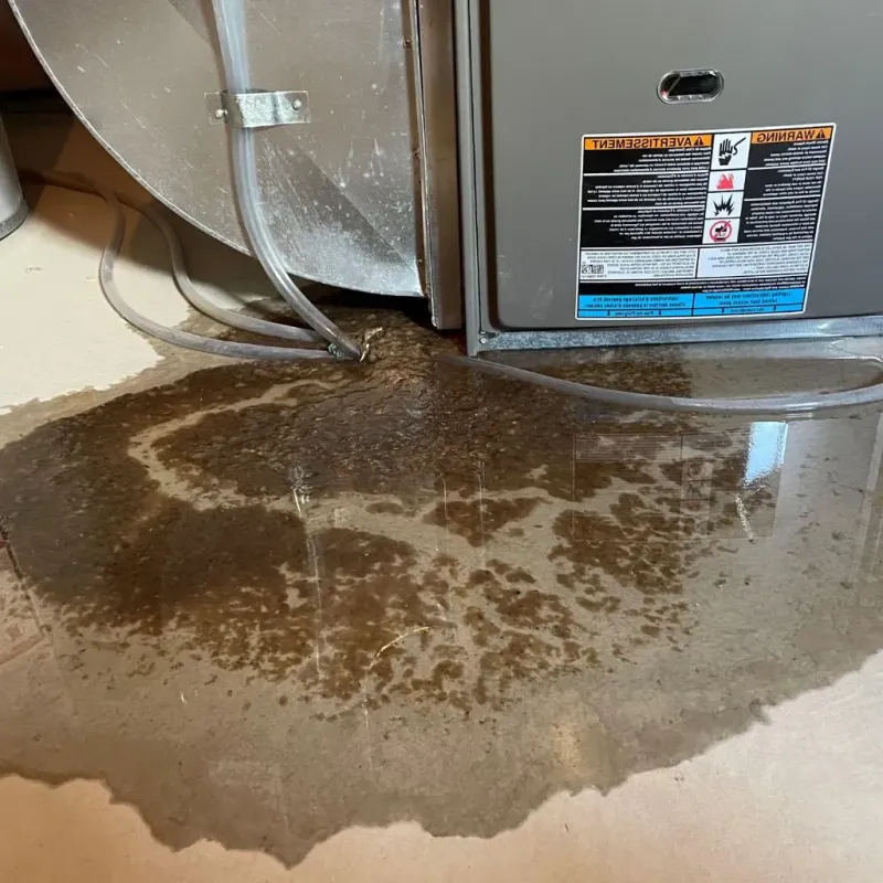 Pipe Burst and Leak Restoration in Bridgeport, TX