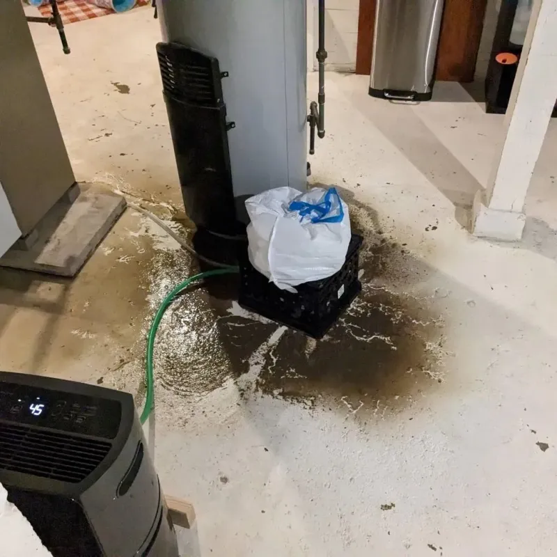 Sewage Backup Cleanup Service in Bridgeport, TX